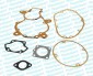 PUCH/MS/MV Joint set 60cc BAC